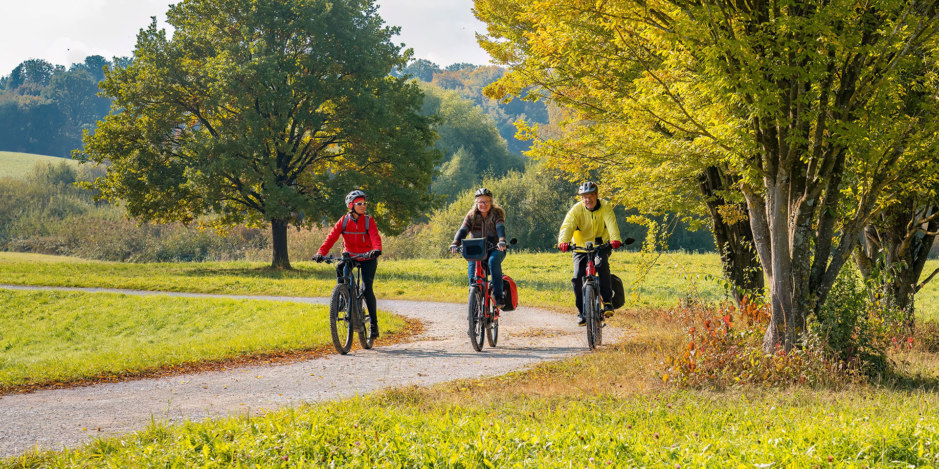 drei Erwachsene fahren mit ihren Mountainbikes durch einen Park